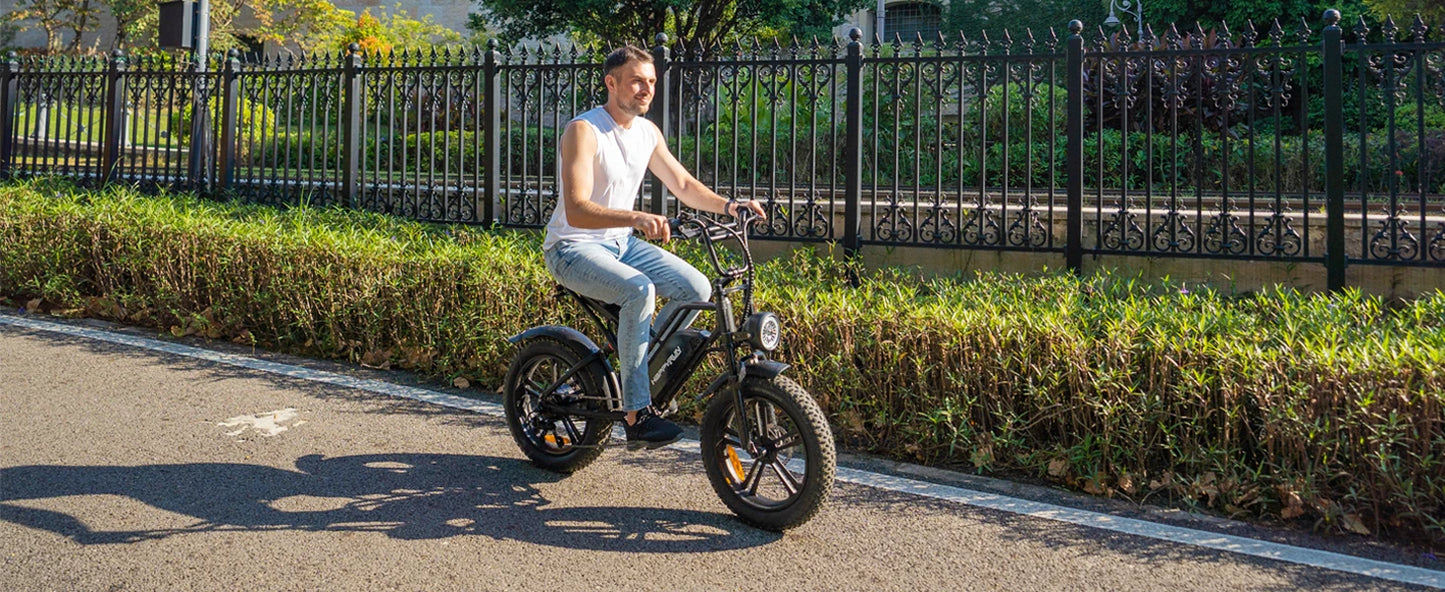 Adult electric bicycle, equipped with 1500W brushless motor, detachable battery, 7-speed gearbox UL certified